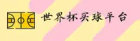 使用指南与常见问题
